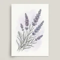 The Soothing Lavender